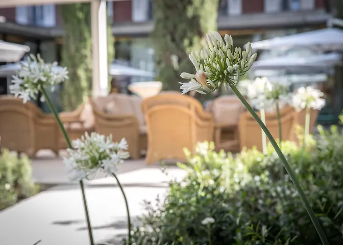 Hôtel accueillant les animaux: Maison Albar Hotels L’Imperator